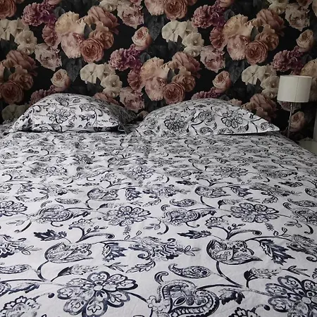 3 Pieces-pres De Centre-ville Apartamento *