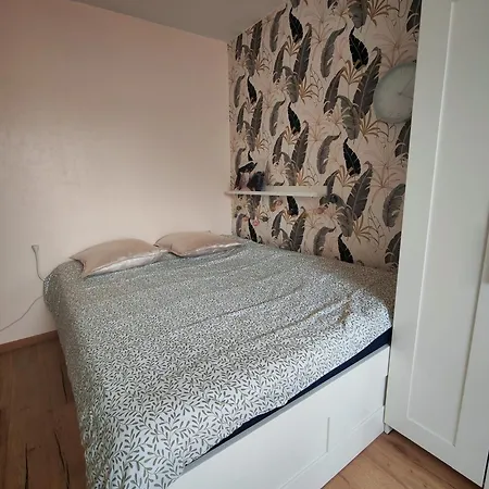 3 Pieces-pres De Centre-ville Apartamento Sélestat