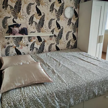 3 Pieces-pres De Centre-ville * Sélestat